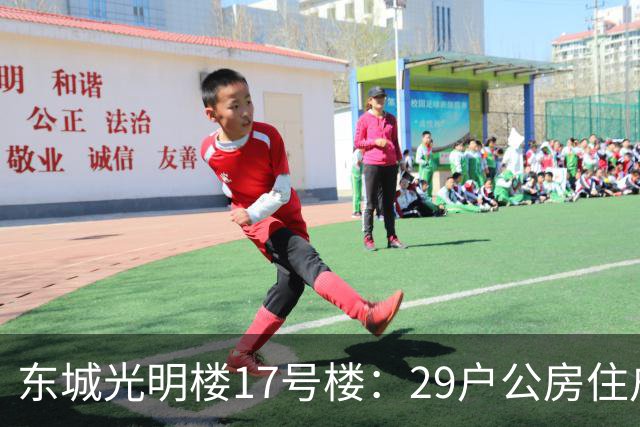 东城光明楼17号楼：29户公房住户凑钱把楼拆了重建
