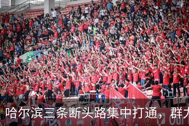哈尔滨三条断头路集中打通，群力西区那条7米窄路等了十余年