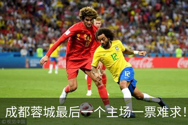 成都蓉城最后一个主场一票难求！成都球迷想看 客场大连球迷更加想要